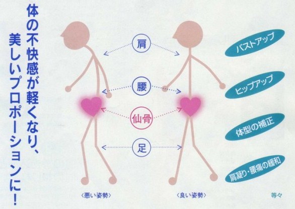 姿勢の違い 姿勢の違い